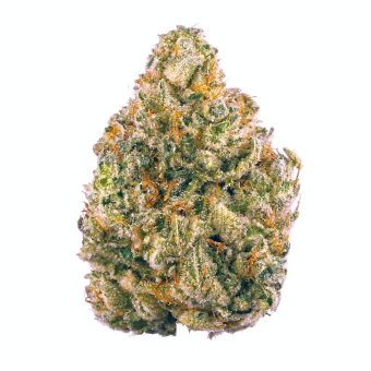 Chem Dawg